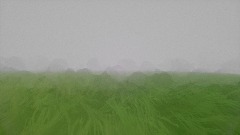 Sirenhead The footage.