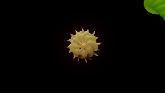 A screenshot taken in Dreams. 3 of 11.