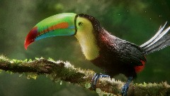 A screenshot taken in Dreams. 12 of 13.