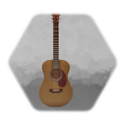 Acoustic Guitar
