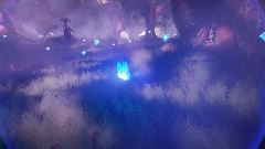 The enchanted forest