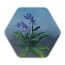 Remezcla de Orchid Plants