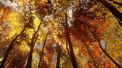 A screenshot taken in Dreams. 6 of 6.