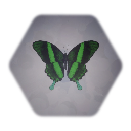 Green Swallowtail