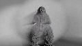 My animation tests