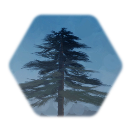 Pine