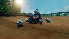 Milking sheeps against the quarantine.