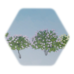 Limelight Hydrangea Tree