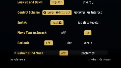 Accessibility Features