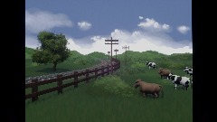 The Cow Field