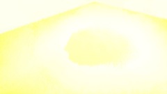 Jim blows up a computer