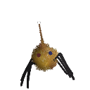 Doopytunes