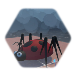 Lady bug