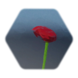 Red Pom (Flower)