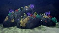 Underwater - Scenery