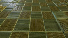 A screenshot taken in Dreams. 14 of 30.