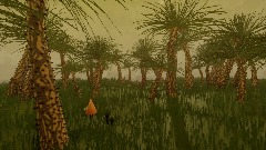 Steppe