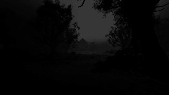 Night of the living dead