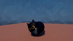 Maxwell the cat in dreams