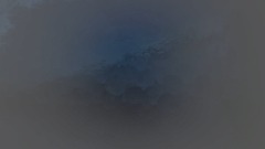 Ancient chicken lvl 003