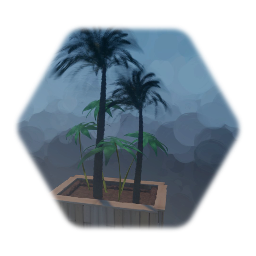 Remix of Palm Tree