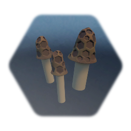 Morel Mushrooms 1.1