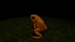 Froggy Boi