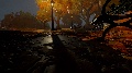 Autumn Creations