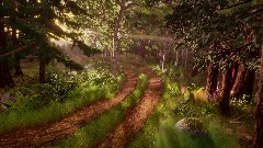 Forest tranquility
