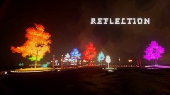 Reflection