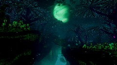 The Forgotten Forest