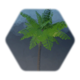 Palm Tree