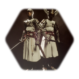 Teutonic/crusader knight