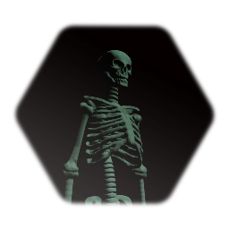 Skeleton