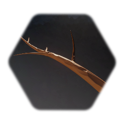 Tree Branch
