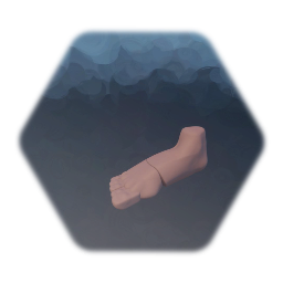 Complex Anatomy Catalogue Vol. 1