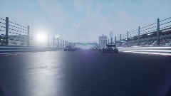 F1 2009 Race - Amateur