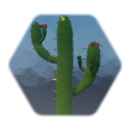Cactus 1