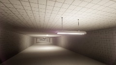 Endless Bathroom Dimension