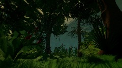 Jungle Asset Testing