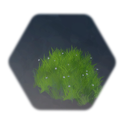 Grass with Daisies