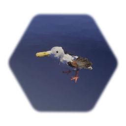 Sea Gull  \  Bird