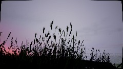 A screenshot taken in Dreams. 4 of 4.