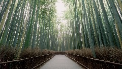 A screenshot taken in Dreams. 4 of 9.