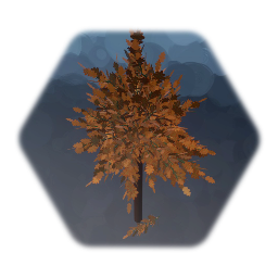 Autumn Tree
