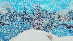 Snowy Forest