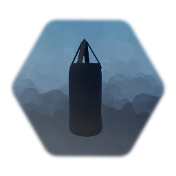 punching bag