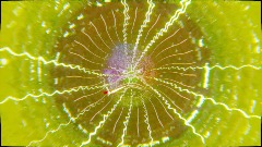 The Astro Chimp Surprise