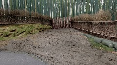 A screenshot taken in Dreams. 2 of 22.