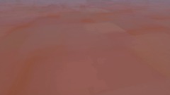 Wario apparition but bad